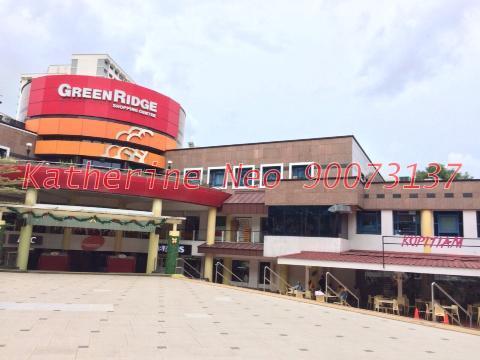 Blk 528 Jelapang Road (Bukit Panjang), HDB Executive #113815502
